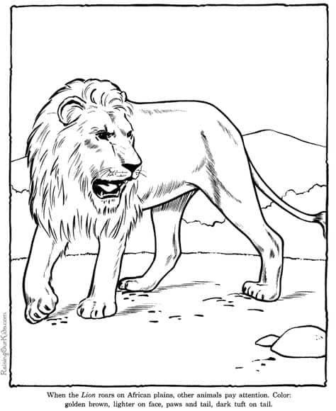 décor de lion à colorier