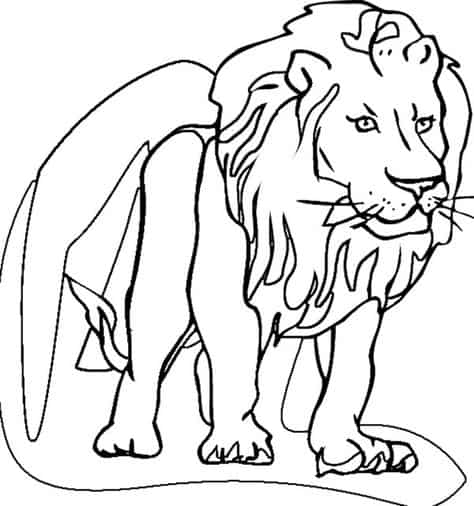 dessin de lion à peindre
