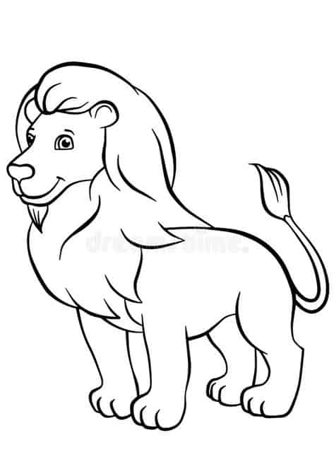 image de lion