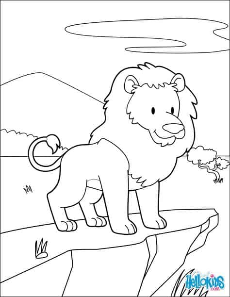 lion sur la montagne
