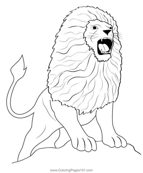 coloriages de lions