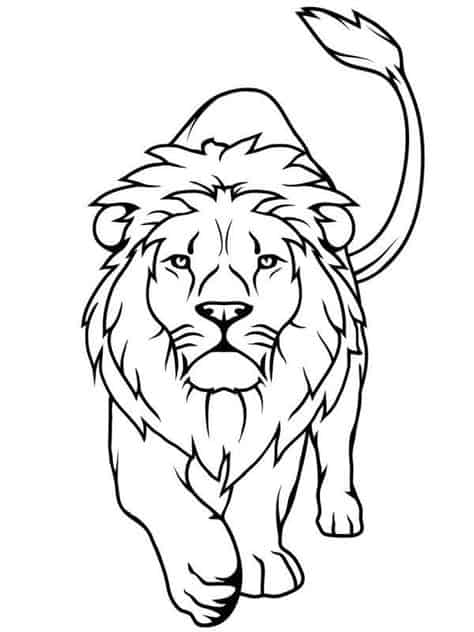 lion pour les conseils de coloriage