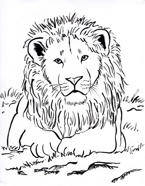 idées de coloriage de lion