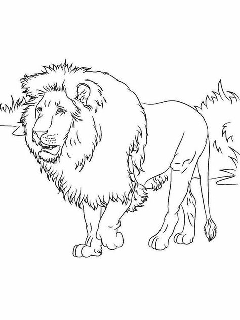 idées de coloriage de lion en surbrillance