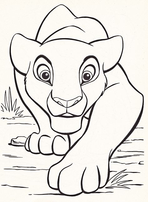 lion coloriage roi lion
