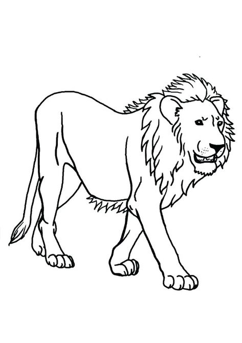 lion à colorier 2