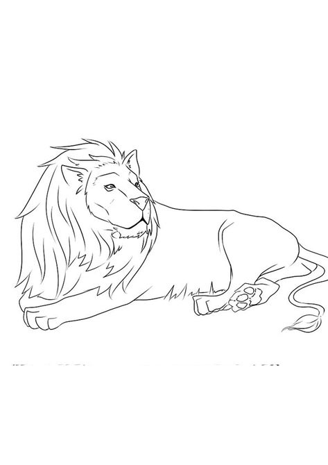 coloriage lion assis