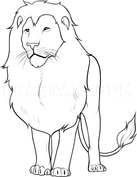 lion coloriage 3