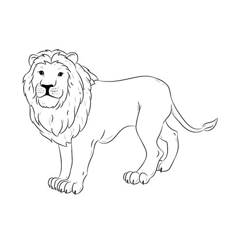 lion simple