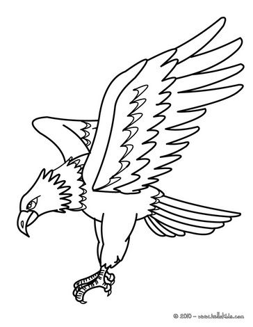 coloriage aigle