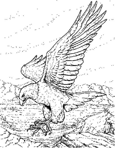 dessin d'un aigle