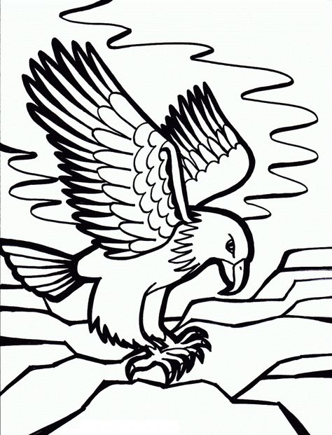 dessin d'aigle 1