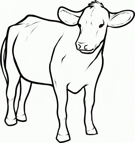 2 coloriages de vache gratuits ScribbleFun