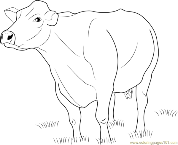 6 activités pour peindre une vache Coloriages101
