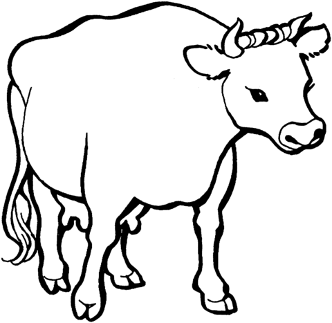 12 activités super vaches à colorier