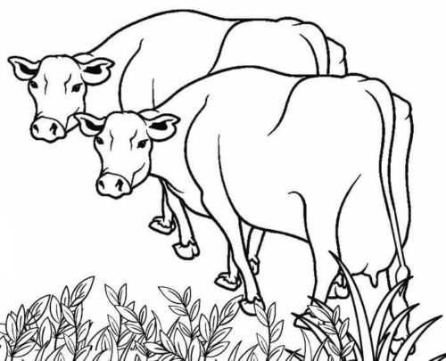 15 vaches à colorier ScribbleFun