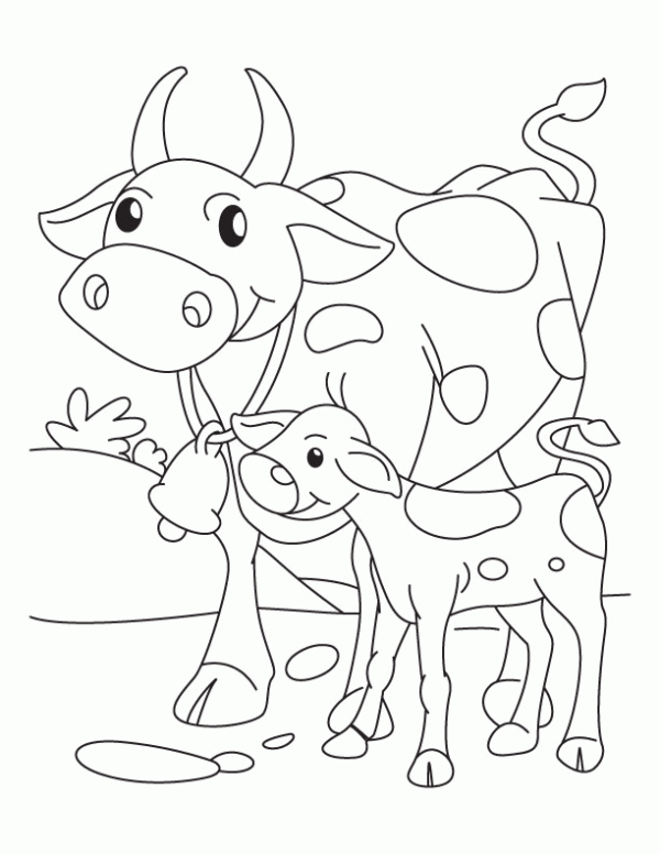 18 dessins de vache et de veau à peindre AZ Coloriage