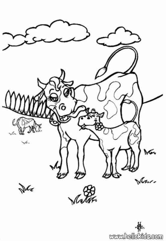 20 vache avec veau à imprimer et colorier HelloKids