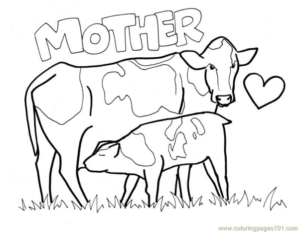21 activité vache avec veau à imprimer Coloriages101