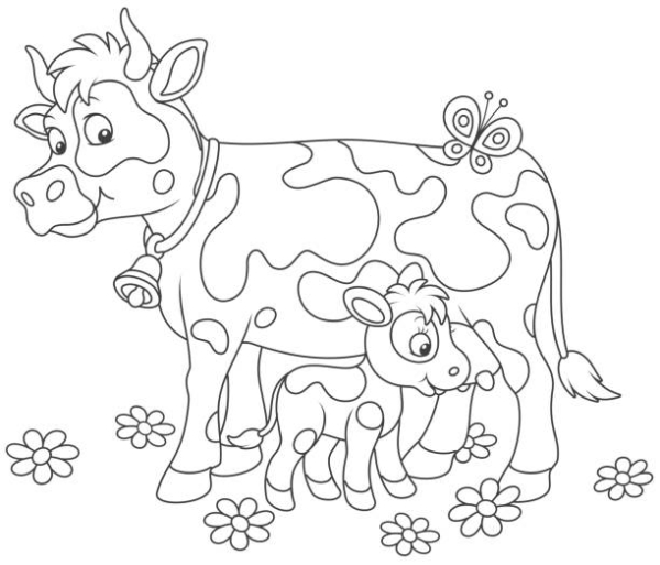 23 activité gratuite vache avec veau iStock