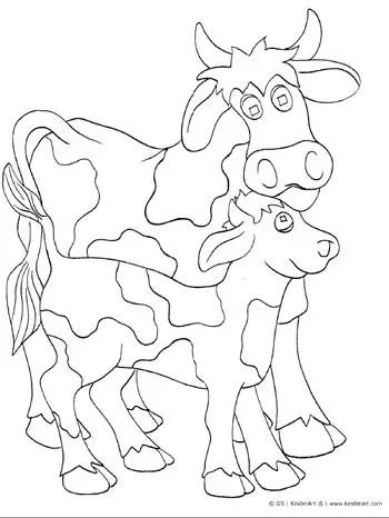 24 activité à peindre vache et veau KinderArt