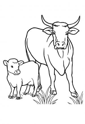 28 dessin de vache avec veau Babeled