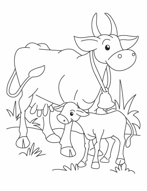 29 activité de coloriage vache et veau Pinterest