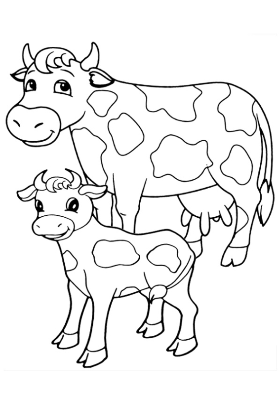 30 coloriages vache et veau à peindre