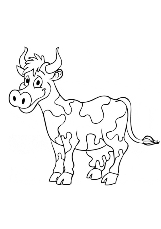 42 activité de coloriage de vache pie Coloriages