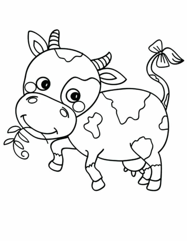 AZ Coloriage 60 jolis dessins de vache