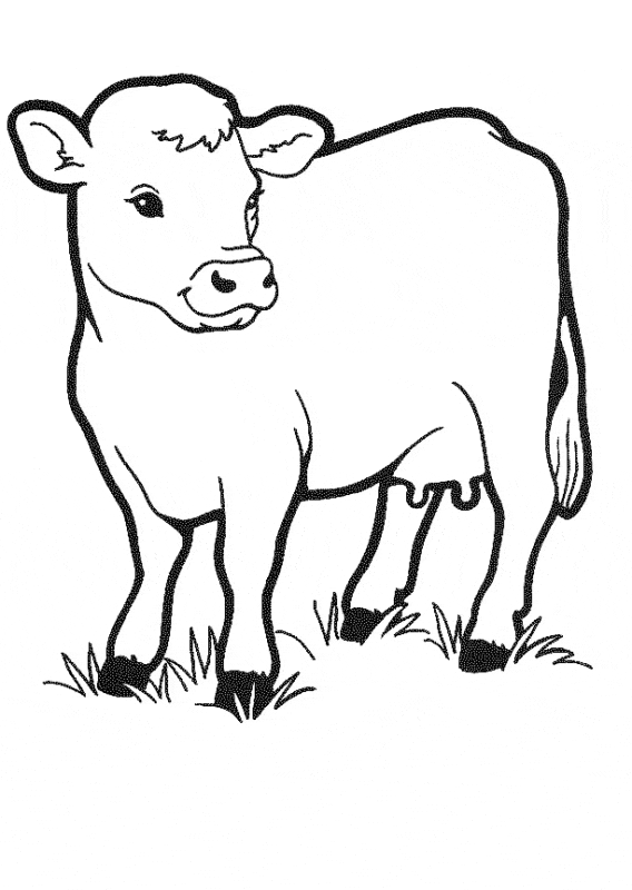1 dessin de vache simple à peindre sur Pinterest