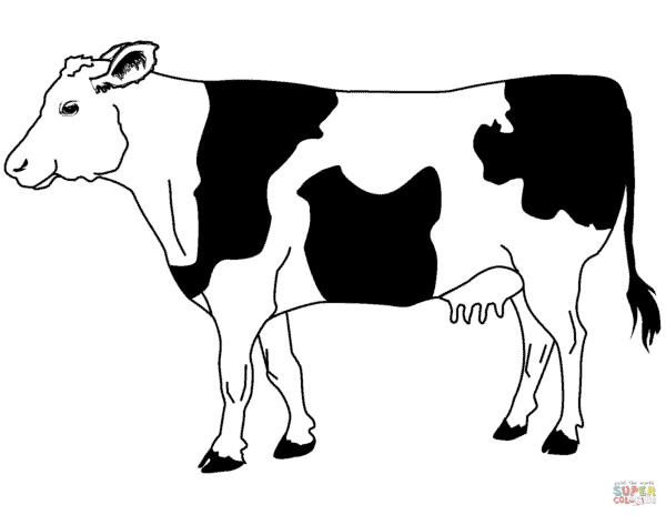 3 dessins de vache à imprimer Super Coloring